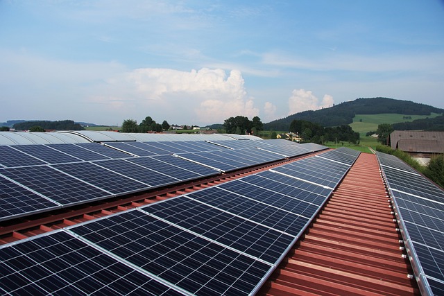 Vyplatí se solární bateriové úložiště?