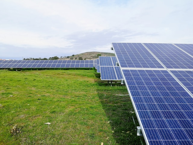 Solární panely pro firmy: Výhody a náklady