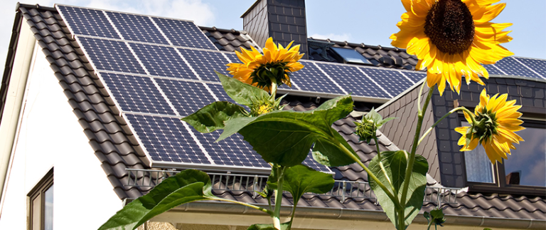 Jak vybrat solární panely pro váš domov